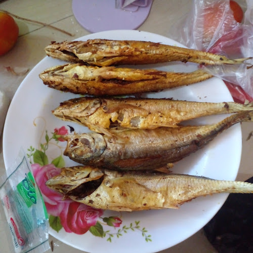 Kedai Fhenti